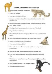 English Worksheet: ANIMALS - engaging questions for discussion