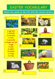 EASTER VOCAVULARY 4 - match words and pictures (key included)