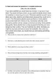 English Worksheet: The Life of Jellyfish