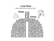 English Worksheet: Digestive and Respiratory System maze 