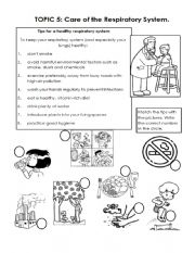 English Worksheet: Respiratory System Care 