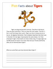 English worksheet: Fun Facts about Tigers