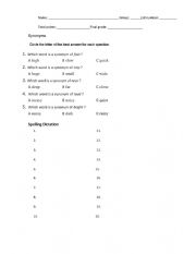 Phonics, Vocabulary and spelling test 