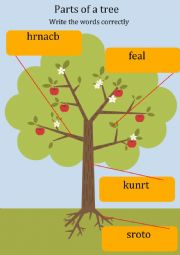 Parts of a tree worksheet