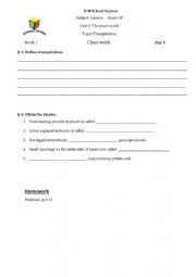 English Worksheet: The plant world