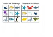 English Worksheet: Under the Sea