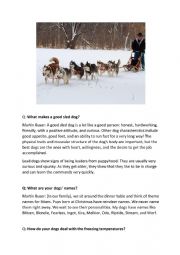 Sled dogs