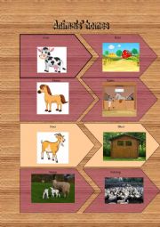 animals� homes: flashcards