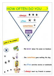 English Worksheet: frequency adverbs