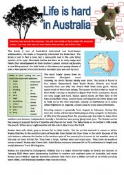The koala lives in Australia. READING + questions + KEY