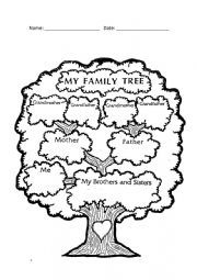 Family tree