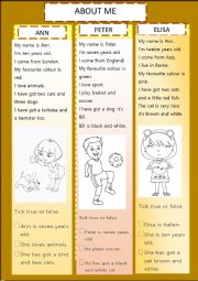 English Worksheet: ABOUT ME