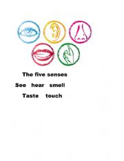 English Worksheet: the five senses