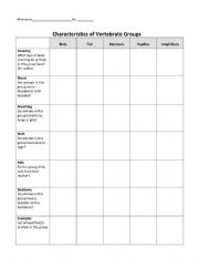 English Worksheet: characteristic of the vertebrae group