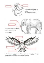 English Worksheet: Animal - body parts