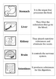 English Worksheet: Human Body - Organs