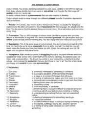 English Worksheet: Culture Shock