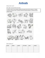 English Worksheet: ANIMAL AND HABITAT