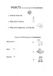 English Worksheet: Vertebrates and invertebrates