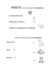 Vertebrates and invertebrates