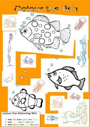 Colour the fish