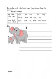 English Worksheet: has got / have got