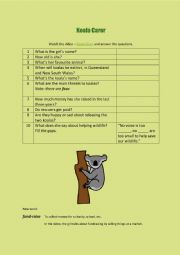 English Worksheet: Koala Carer