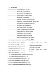 English Worksheet: animal riddles comparative