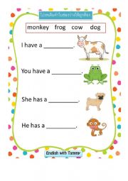 Animal Vocabulary
