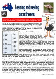 The emu lives in Australia. READING + questions + KEY