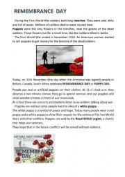 Poppy Day - reading comprehension