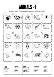 ANIMALS - 1  (VOCABULARY EXERCISE) 