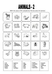 ANIMALS - 2  (VOCABULARY EXERCISE) 