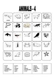 ANIMALS - 4  (VOCABULARY EXERCISE) 