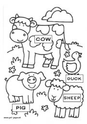 English Worksheet: farm animals