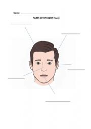English Worksheet: MY BODY PARTS 