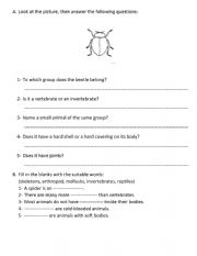 English Worksheet: Invertebrates 