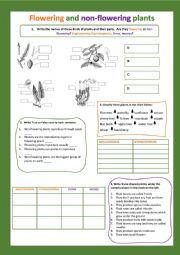 Flowering and non-flowering plants II