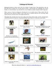 English Worksheet: endangered animals 