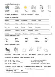 English Worksheet: esl animals / days of the week