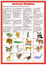 English Worksheet: Animal riddles