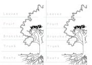 English Worksheet: Parts of A tree craft