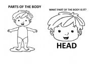 PARTS OF THE BODY BOY