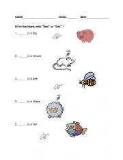 English Worksheet: he /she