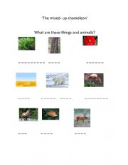 English Worksheet: The mixed- up chamaleon