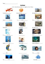 Sea Idioms