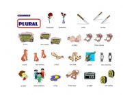 English Worksheet: Plurals