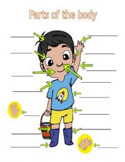 English Worksheet: Parts of the body