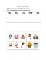 English Worksheet: The five senses