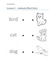 Animals Matching